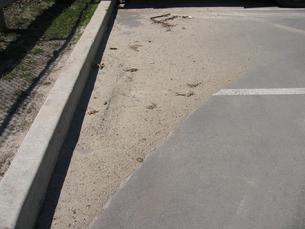 Parkinglot sweeping